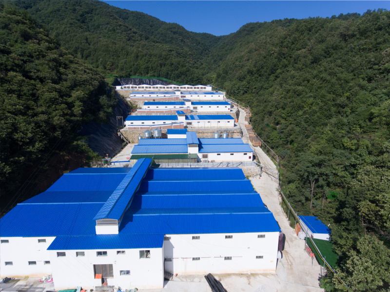 DJI_0046-修補.jpg